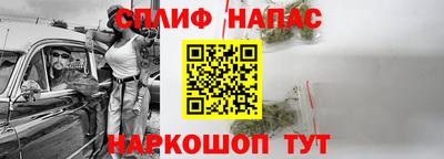 молекула духа Будённовск