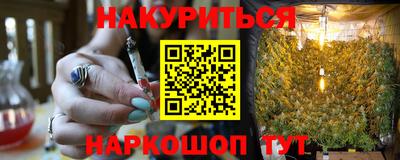 молекула духа Будённовск