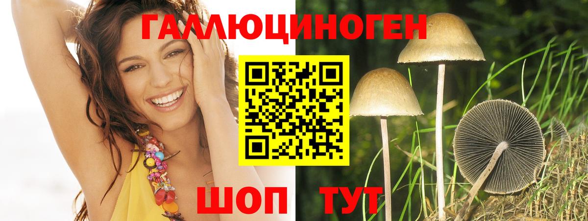 Галлюциногенные грибы мицелий Котлас