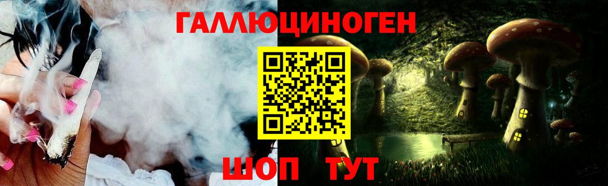 Котлас  Галлюциногенные грибы Psilocybe  Вход с VPN 