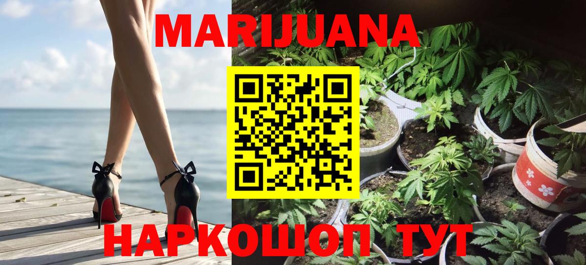 Марихуана планчик  Каннабис сатива  Котлас  Бошки марихуана VHQ  Вход с VPN  Марихуана тримм 